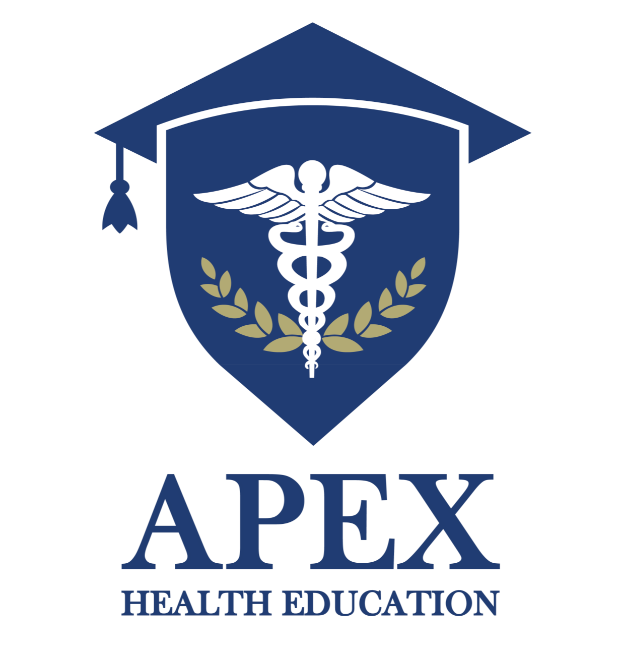 APEX Health Education logo